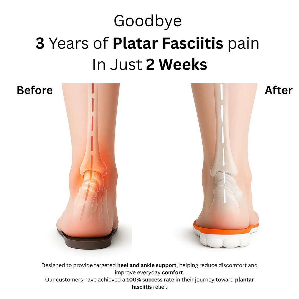 Ankle & Heel Support