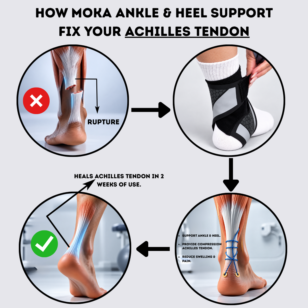 Ankle & Heel Support